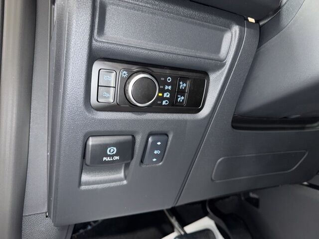 2025 Ford F-150 Lightning Platinum Pine River MN