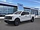 2025 Ford F-150 Lightning Pro Oshkosh WI