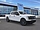 2025 Ford F-150 Lightning Pro Oshkosh WI
