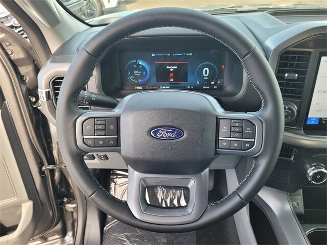 2025 Ford F-150 Lightning XLT Roseville CA