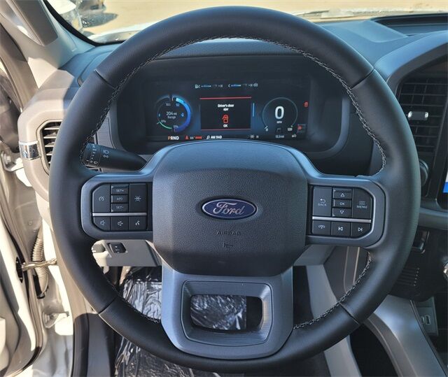 2025 Ford F-150 Lightning XLT Roseville CA