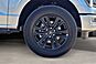 2025 Ford F-150 Platinum  TX