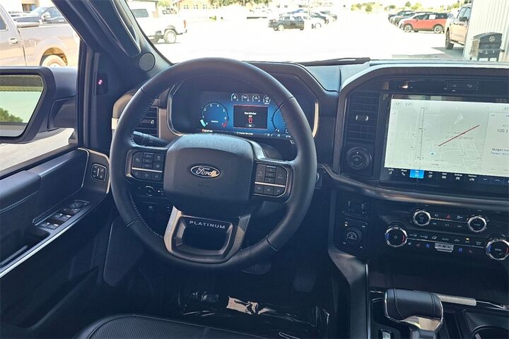 2025 Ford F-150 Platinum  TX
