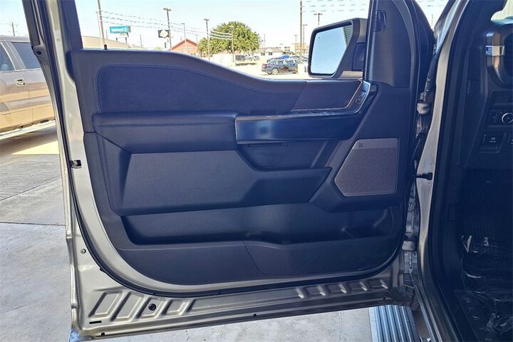 2025 Ford F-150 Platinum  TX