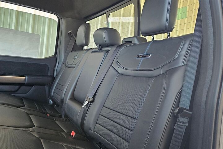 2025 Ford F-150 Platinum  TX