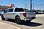 2025 Ford F-150 Platinum  TX