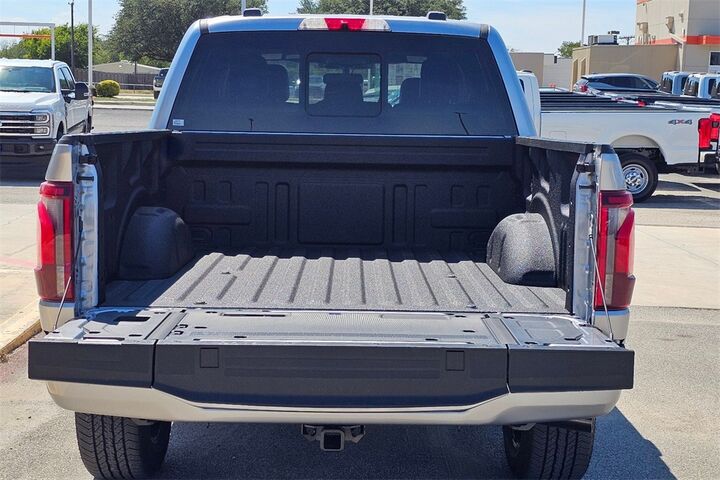 2025 Ford F-150 Platinum  TX