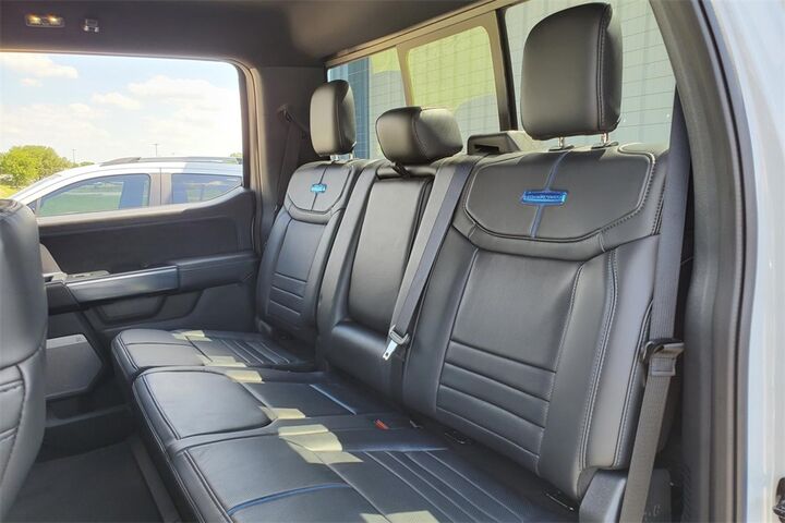 2025 Ford F-150 Platinum  TX