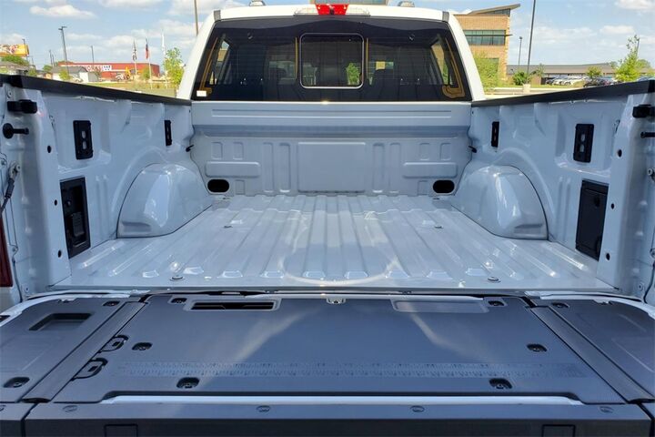 2025 Ford F-150 Platinum  TX