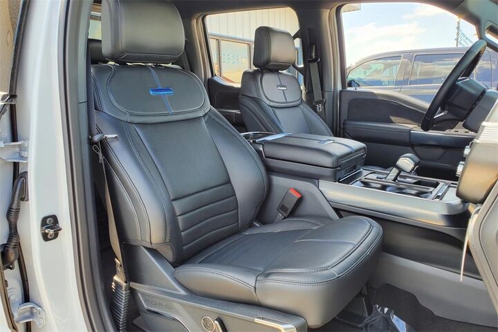2025 Ford F-150 Platinum  TX