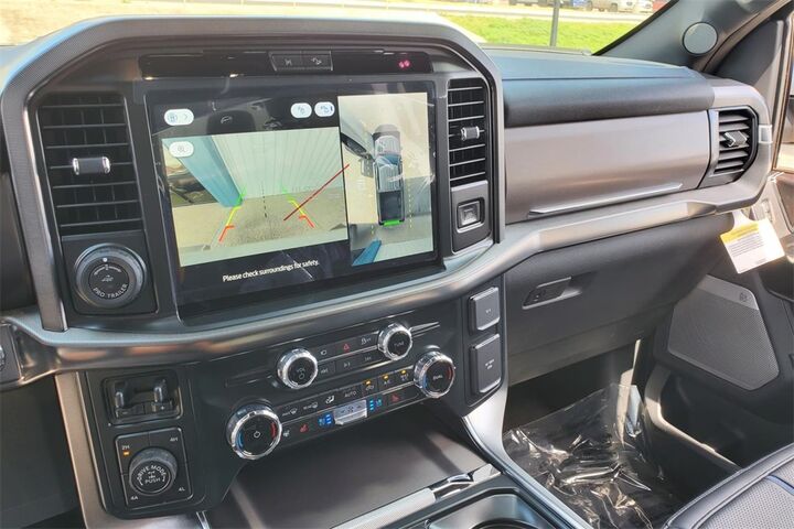 2025 Ford F-150 Platinum  TX