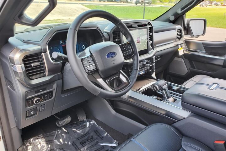 2025 Ford F-150 Platinum  TX