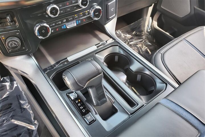 2025 Ford F-150 Platinum  TX