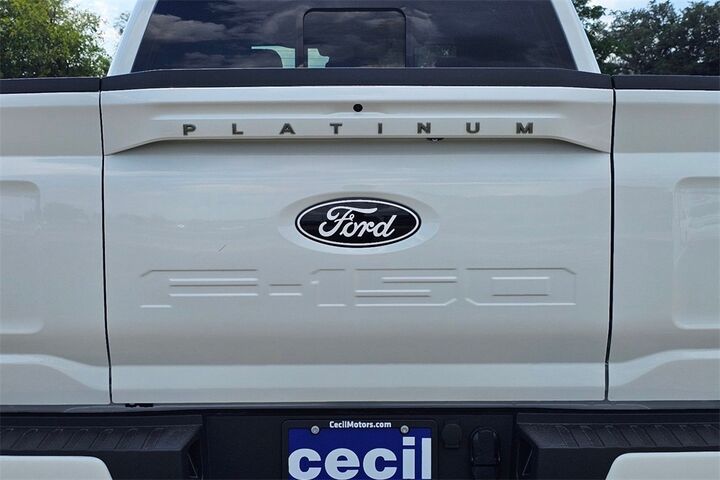 2025 Ford F-150 Platinum  TX