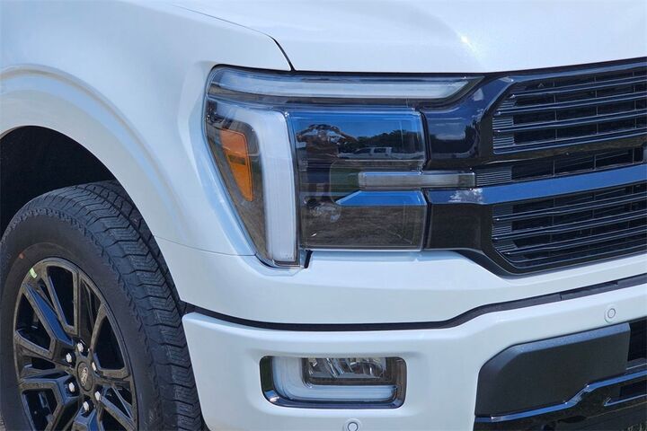 2025 Ford F-150 Platinum  TX