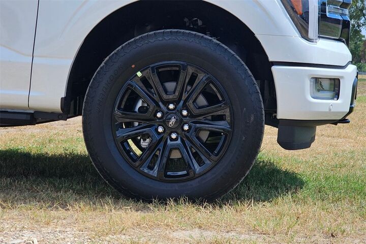 2025 Ford F-150 Platinum  TX