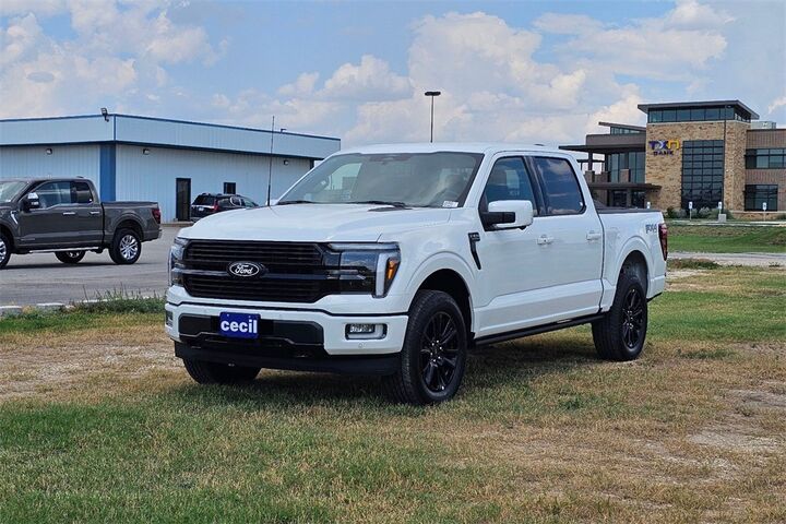 2025 Ford F-150 Platinum  TX