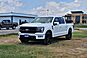 2025 Ford F-150 Platinum  TX