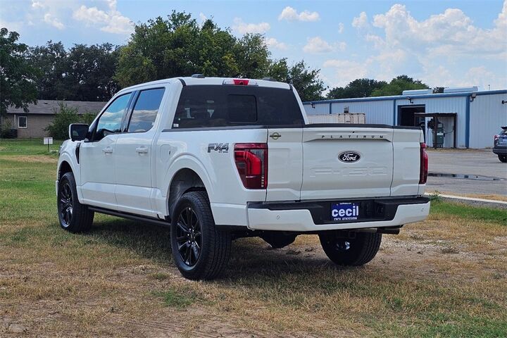 2025 Ford F-150 Platinum  TX