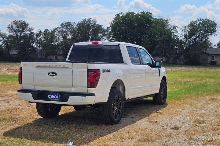 2025 Ford F-150 Platinum  TX