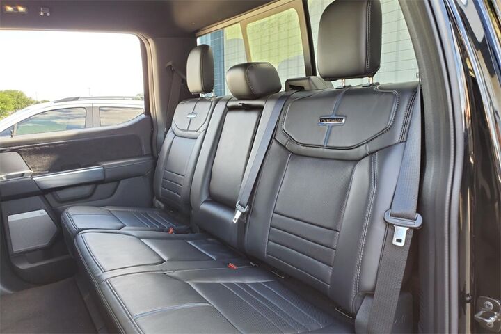 2025 Ford F-150 Platinum  TX