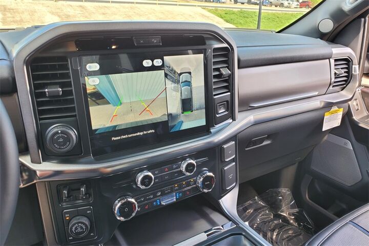 2025 Ford F-150 Platinum  TX