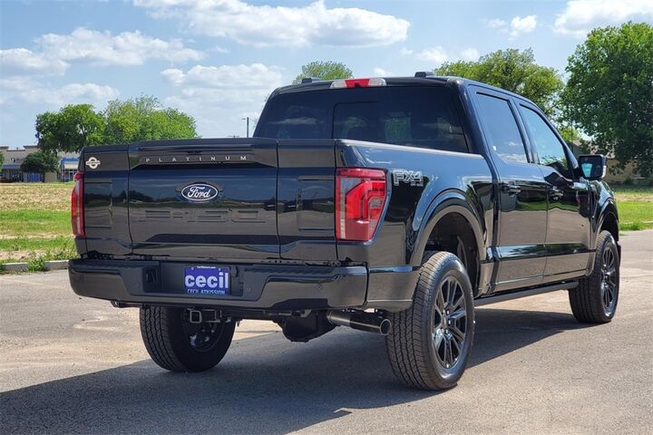 2025 Ford F-150 Platinum  TX