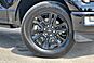 2025 Ford F-150 Platinum  TX