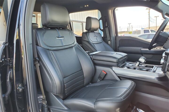 2025 Ford F-150 Platinum  TX