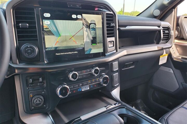 2025 Ford F-150 Platinum  TX