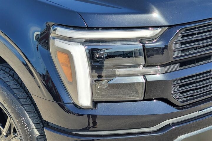2025 Ford F-150 Platinum  TX