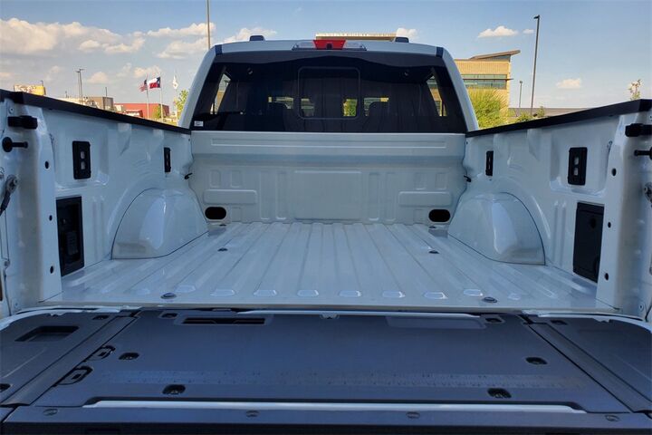 2025 Ford F-150 Platinum  TX