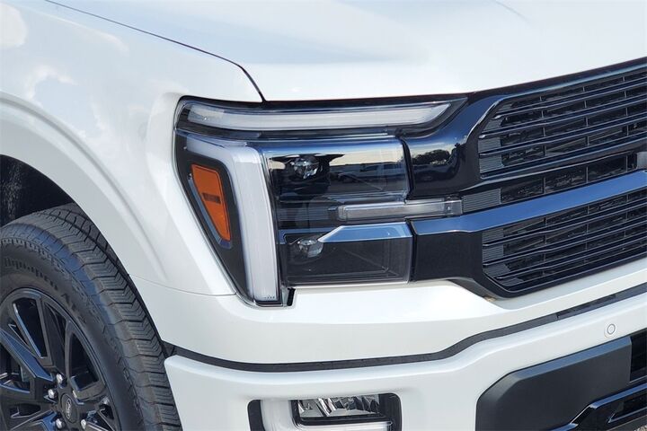 2025 Ford F-150 Platinum  TX