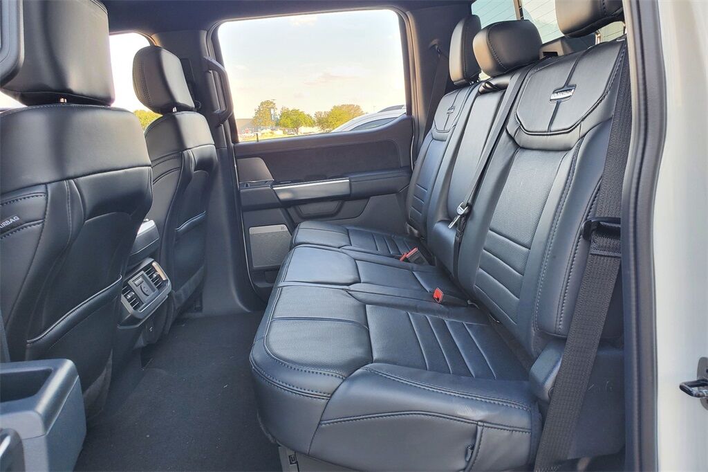 2025 Ford F-150 Platinum Hondo TX