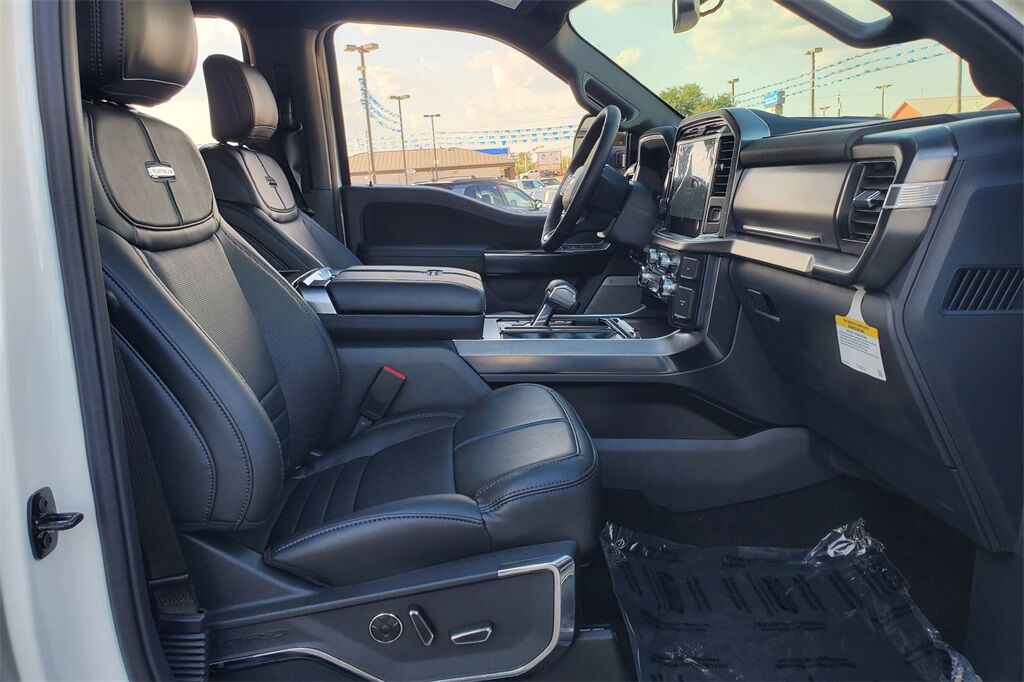 2025 Ford F-150 Platinum Hondo TX