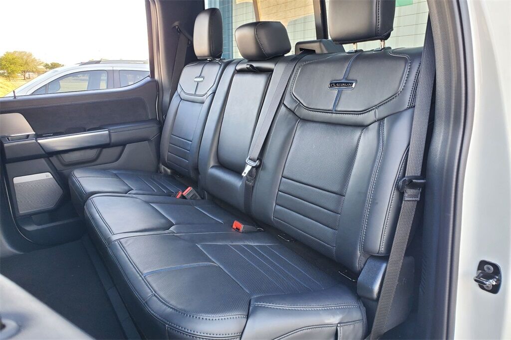 2025 Ford F-150 Platinum Hondo TX