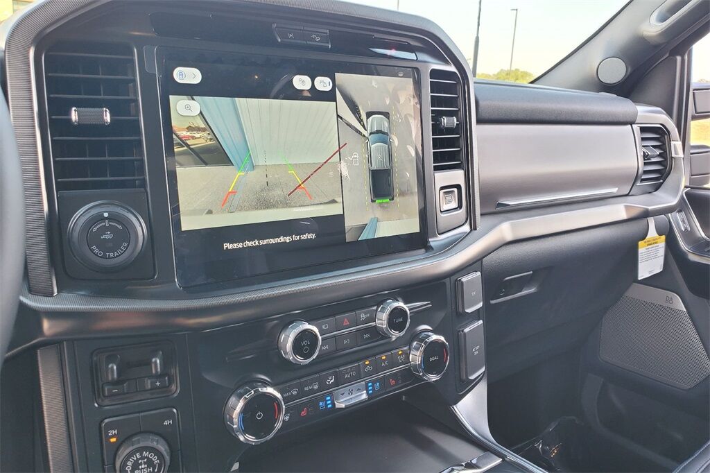 2025 Ford F-150 Platinum Hondo TX