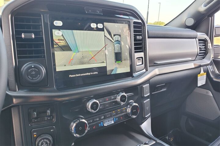 2025 Ford F-150 Platinum  TX