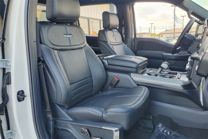 2025 Ford F-150 Platinum  TX