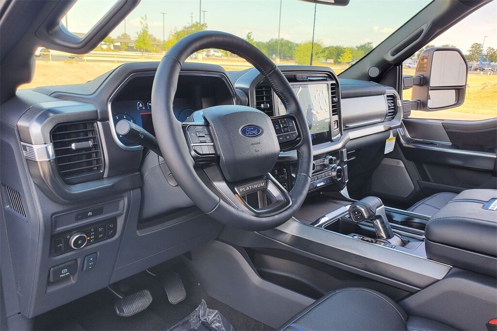 2025 Ford F-150 Platinum Hondo TX