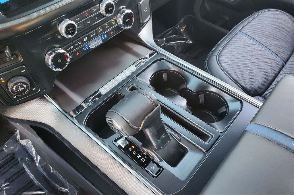 2025 Ford F-150 Platinum Hondo TX