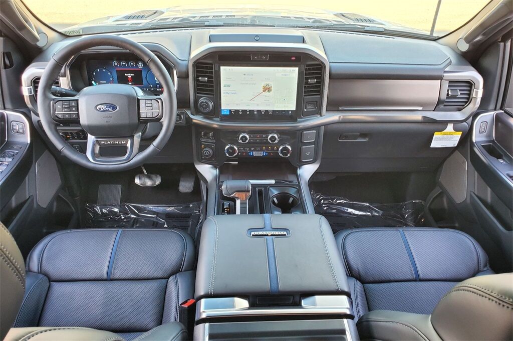 2025 Ford F-150 Platinum Hondo TX