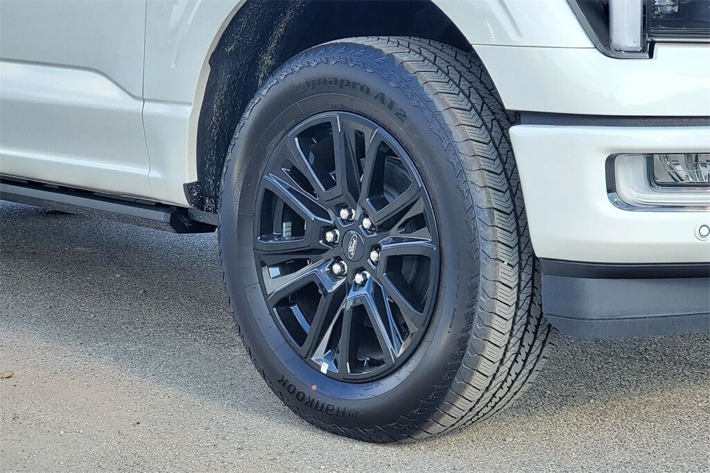 2025 Ford F-150 Platinum Hondo TX