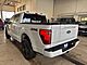 2025 Ford F-150 Platinum Milwaukee WI