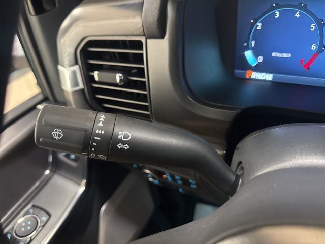 2025 Ford F-150 Platinum Random Lake WI