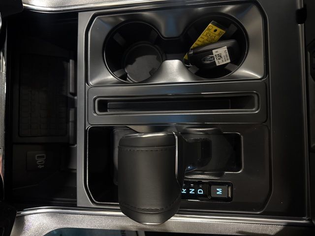 2025 Ford F-150 Platinum Random Lake WI