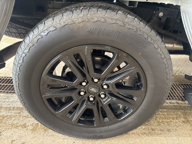 2025 Ford F-150 Platinum Random Lake WI