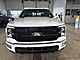 2025 Ford F-150 Platinum Milwaukee WI