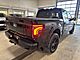 2025 Ford F-150 Platinum Milwaukee WI
