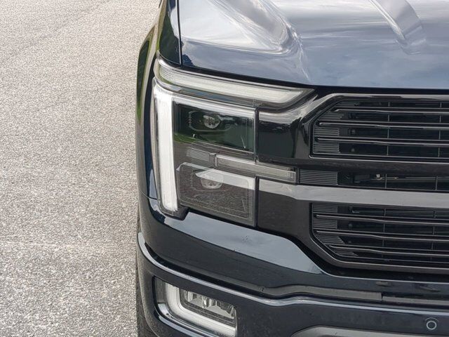 2025 Ford F-150 Platinum Appleton WI